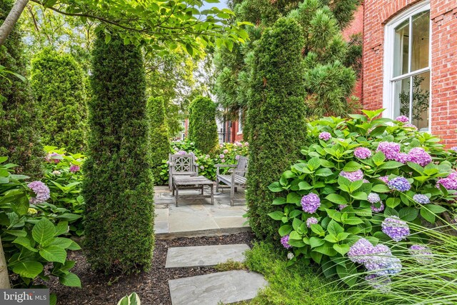 1235 S St NW Unit 1, Washington, DC 20009 - view of yard