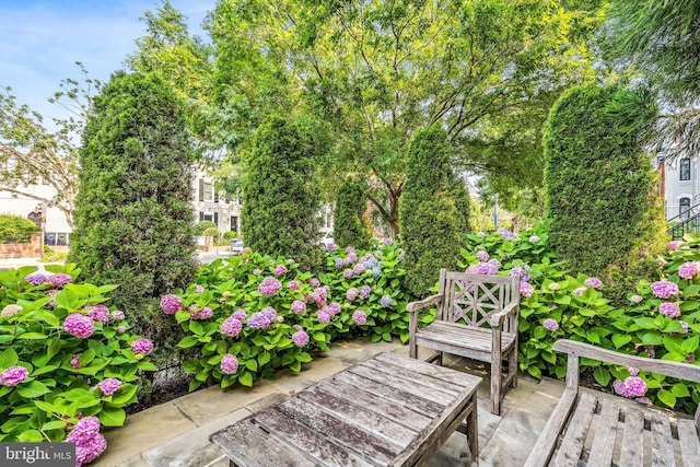 1235 S St NW Unit 1, Washington, DC 20009 - view of patio