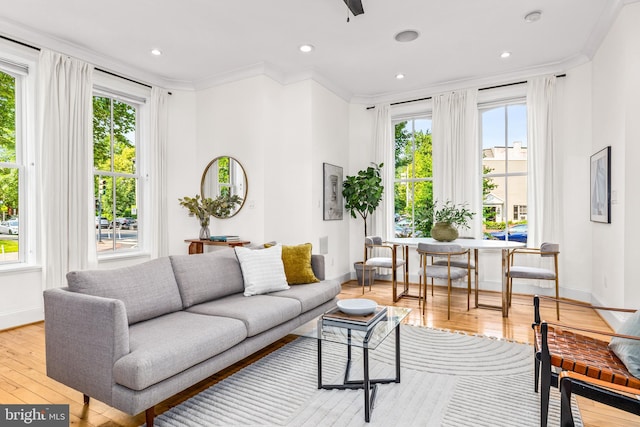 1235 S St NW Unit 1, Washington, DC 20009 - living room featuring baseboards, hardwood / wood-style flooring, crown molding, and recessed lighting