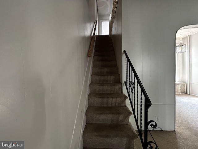 342 S 4th St, Reading, PA 19602 - staircase with arched walkways and carpet flooring
