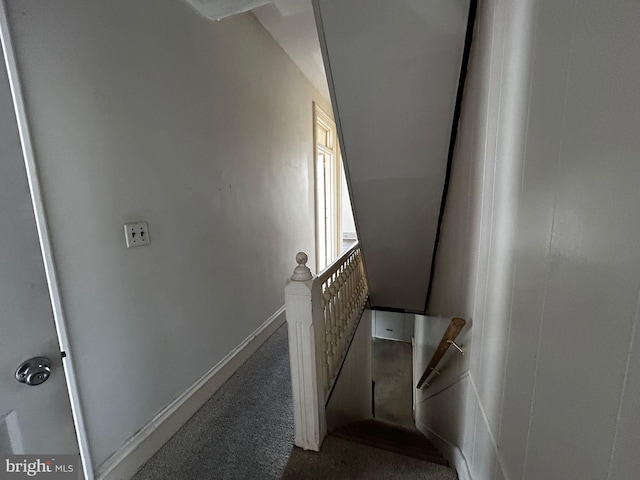 342 S 4th St, Reading, PA 19602 - stairs with carpet and baseboards