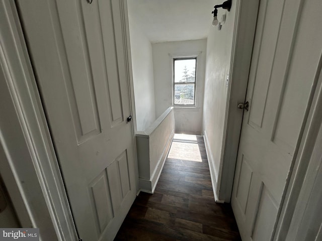 342 S 4th St, Reading, PA 19602 - hallway with dark wood finished floors and baseboards