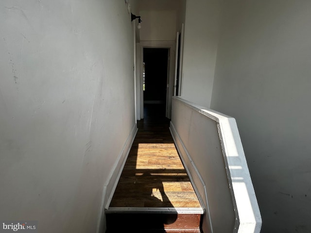 342 S 4th St, Reading, PA 19602 - corridor featuring wood finished floors and baseboards