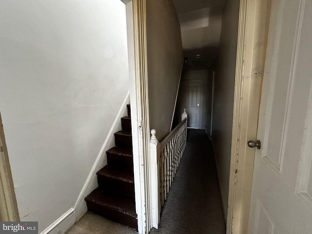 342 S 4th St, Reading, PA 19602 - staircase with carpet