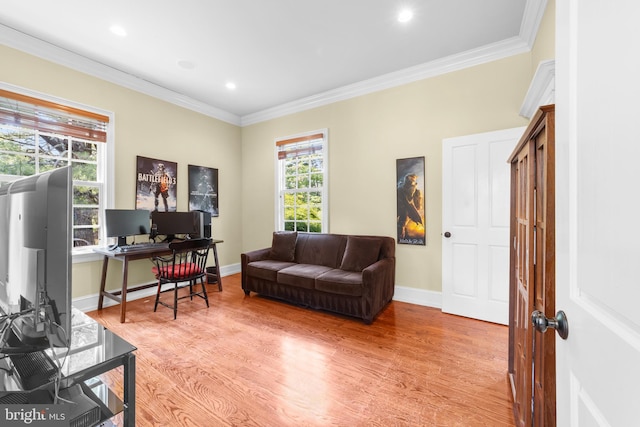 4491 Province Line Rd, Princeton, NJ 08540 - home office with light wood finished floors, ornamental molding, baseboards, and recessed lighting