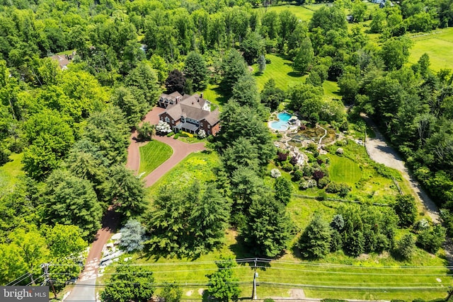 4491 Province Line Rd, Princeton, NJ 08540 - bird's eye view