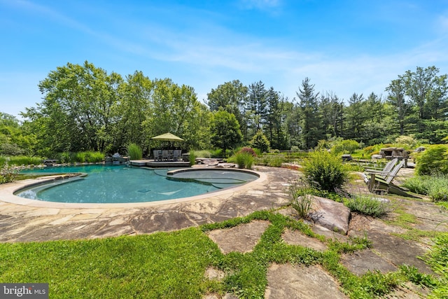 4491 Province Line Rd, Princeton, NJ 08540 - view of swimming pool