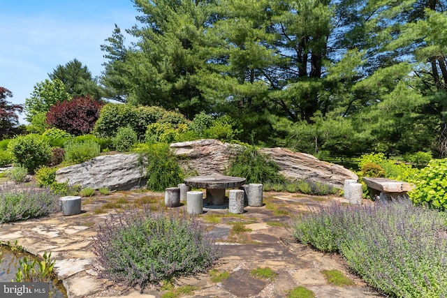 4491 Province Line Rd, Princeton, NJ 08540 - view of yard