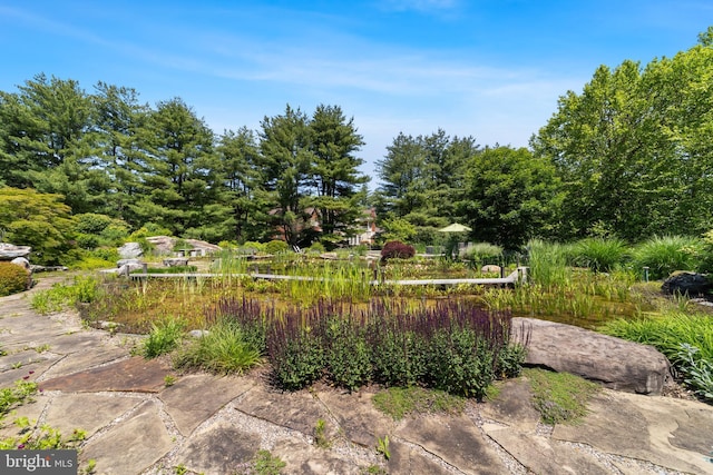 4491 Province Line Rd, Princeton, NJ 08540 - view of yard