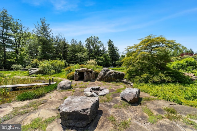 4491 Province Line Rd, Princeton, NJ 08540 - view of yard