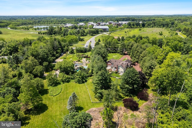 4491 Province Line Rd, Princeton, NJ 08540 - bird's eye view of a nearby body of water and a heavily wooded area