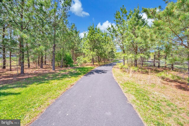 6259 Bobcat Ln, King George, VA 22485