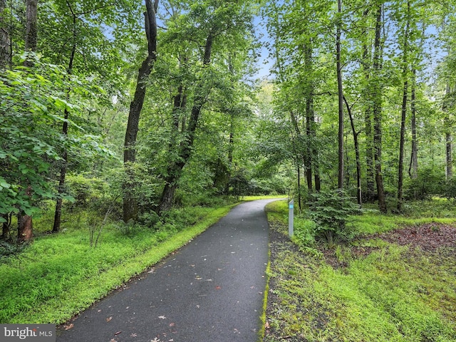 12134 Stirrup Rd, Reston, VA 20191 - view of street with a forest view