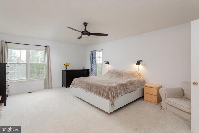 1492 Cumberland Dr, Rockingham, VA 22801 - carpeted bedroom with multiple windows and a ceiling fan