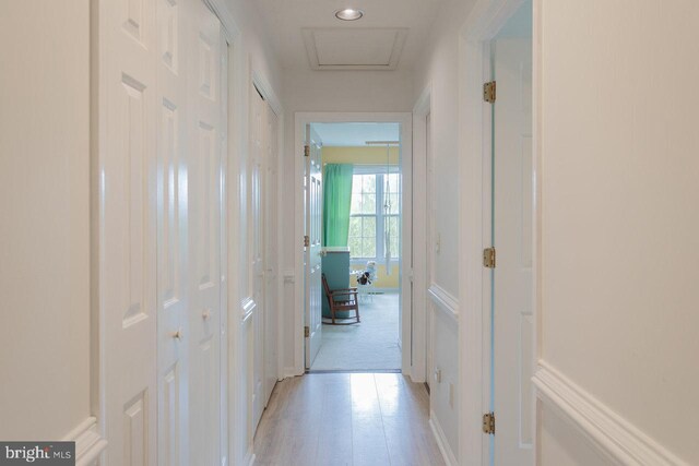 1492 Cumberland Dr, Rockingham, VA 22801 - hall featuring light wood finished floors and attic access