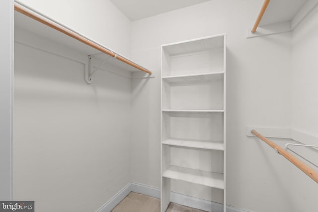 9718 Winery Ct Unit 9718, Gaithersburg, MD 20879 - view of spacious closet