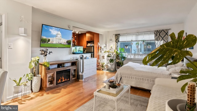 7333 New Hampshire Ave Unit 800, Takoma Park, MD 20912 - bedroom featuring light wood-style flooring and a glass covered fireplace