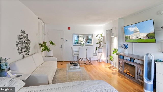 7333 New Hampshire Ave Unit 800, Takoma Park, MD 20912 - living room featuring light wood-type flooring and a glass covered fireplace