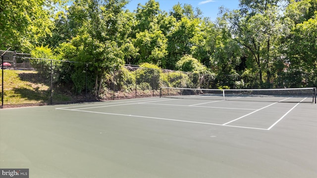 7333 New Hampshire Ave Unit 800, Takoma Park, MD 20912 - view of tennis court with community basketball court