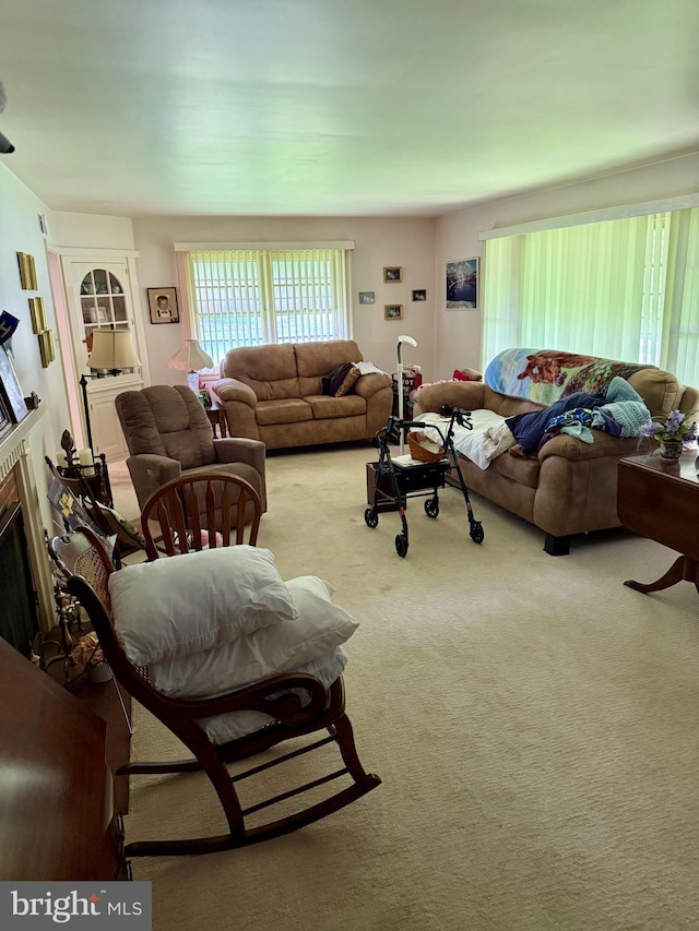 228 S Forge Rd, Palmyra, PA 17078 - living room with a fireplace and carpet flooring