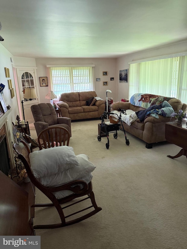228 S Forge Rd, Palmyra, PA 17078 - living area featuring carpet floors and a fireplace
