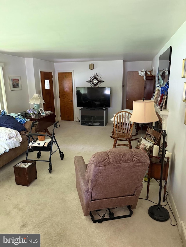 228 S Forge Rd, Palmyra, PA 17078 - view of carpeted living area
