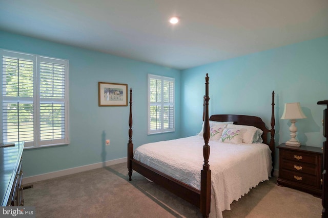 189 Massie St, Stephens City, VA 22655 - bedroom featuring carpet flooring, baseboards, and recessed lighting
