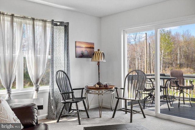 228 Cranberry Dr, Blakeslee, PA 18610 - living area with carpet floors and baseboards