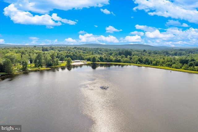228 Cranberry Dr, Blakeslee, PA 18610 - water view featuring a forest