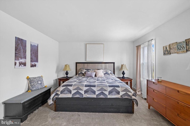 228 Cranberry Dr, Blakeslee, PA 18610 - bedroom with carpet floors