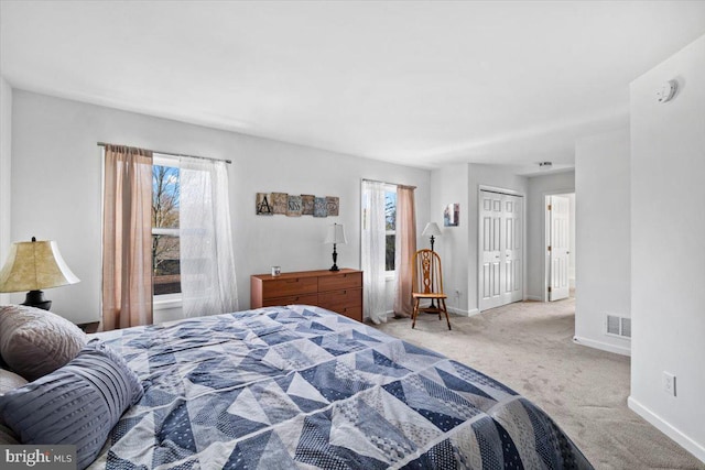 228 Cranberry Dr, Blakeslee, PA 18610 - carpeted bedroom with multiple windows, baseboards, and a closet