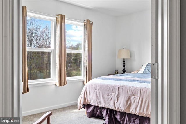 228 Cranberry Dr, Blakeslee, PA 18610 - carpeted bedroom with baseboards