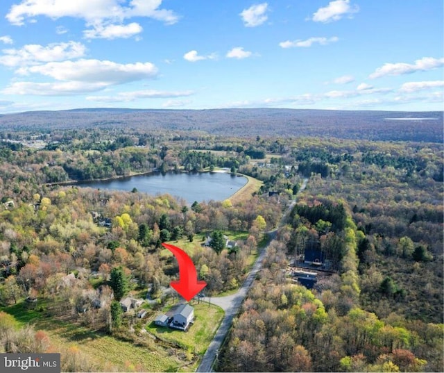 228 Cranberry Dr, Blakeslee, PA 18610 - view of property location with a heavily wooded area and a large body of water