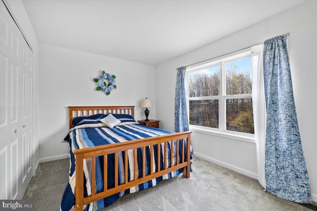 228 Cranberry Dr, Blakeslee, PA 18610 - bedroom featuring baseboards, a closet, and carpet