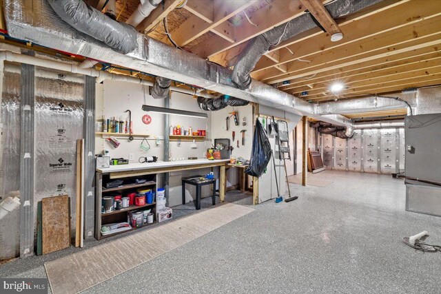 228 Cranberry Dr, Blakeslee, PA 18610 - unfinished below grade area featuring a workshop area