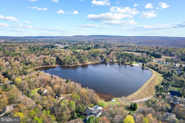 228 Cranberry Dr, Blakeslee, PA 18610 - view of property location featuring a forest and a nearby body of water