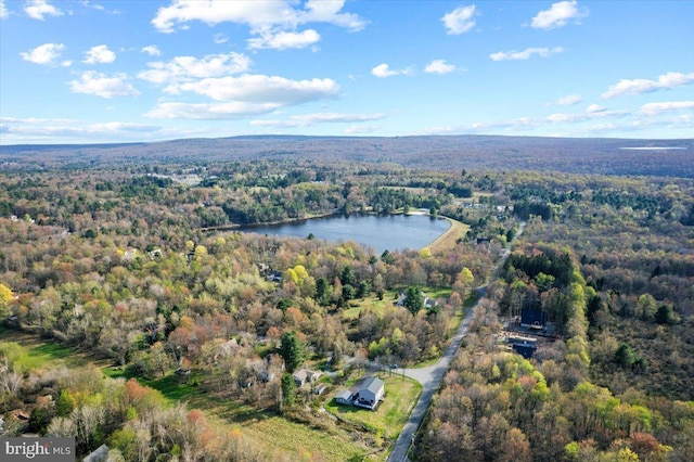 228 Cranberry Dr, Blakeslee, PA 18610 - aerial view of property's location featuring a heavily wooded area and a nearby body of water