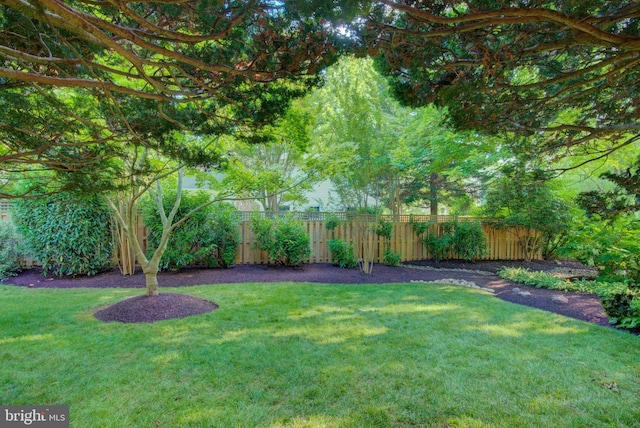 12013 Cheviot Dr, Herndon, VA 20170 - view of yard