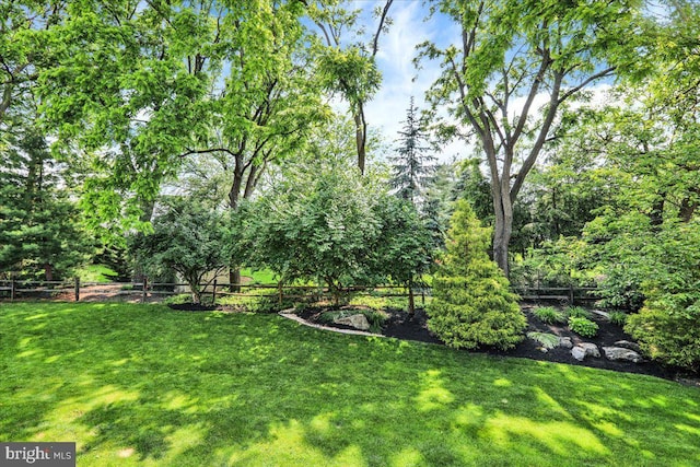 17 N Carolina Ave, Reading, PA 19608 - view of yard