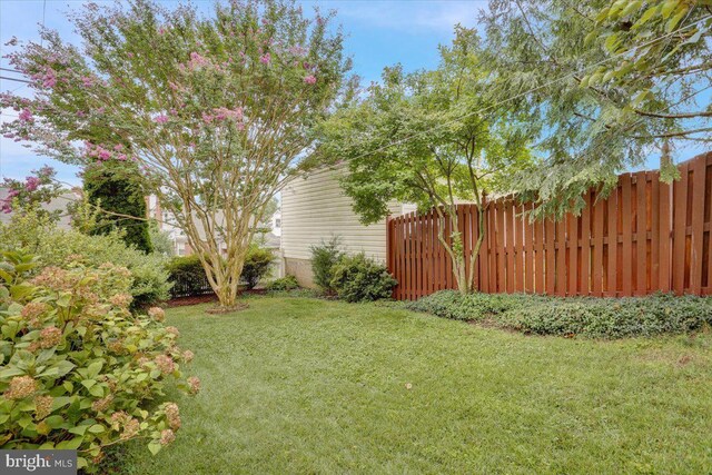 1322 Brooke Blvd, Reading, PA 19607 - view of yard