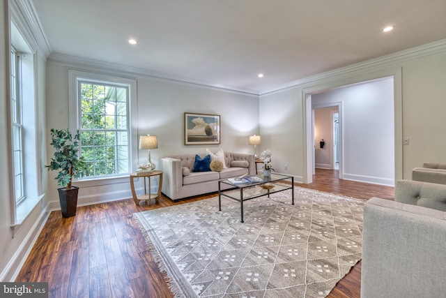 6153 Long Point Rd, Neavitt, MD 21652 - living room with crown molding, wood finished floors, baseboards, and recessed lighting