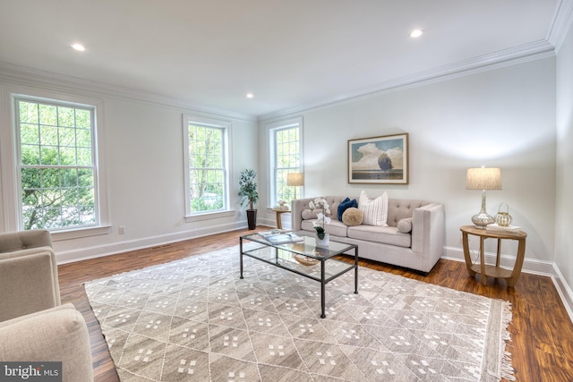 6153 Long Point Rd, Neavitt, MD 21652 - living room with ornamental molding, baseboards, wood finished floors, and recessed lighting
