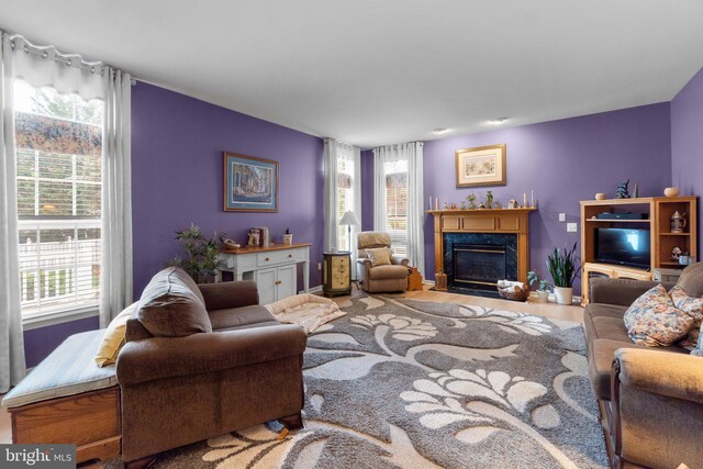 5631 Jordan Blvd, New Market, MD 21774 - living area with a fireplace, healthy amount of natural light, and wood finished floors