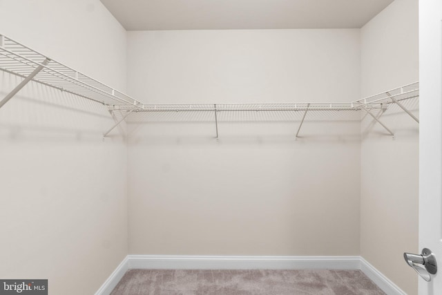 766 Chatelaine Ct, Eldersburg, MD 21784 - spacious closet with carpet floors