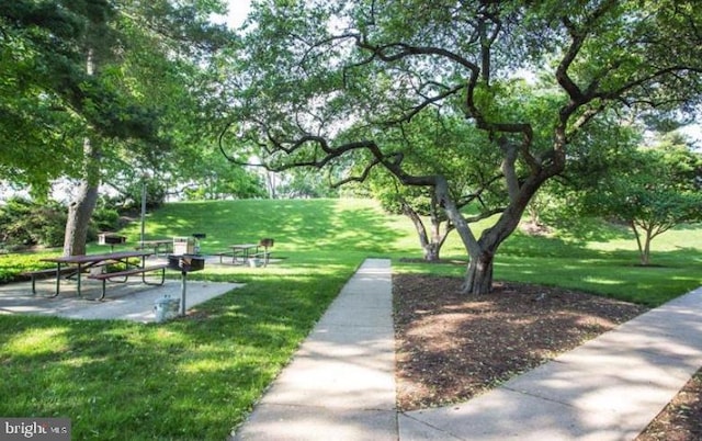 1300 Army Navy Dr Unit 803, Arlington, VA 22202 - surrounding community featuring a lawn