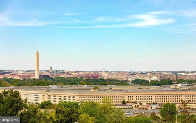 1300 Army Navy Dr Unit 803, Arlington, VA 22202 - view of city