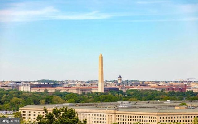 1300 Army Navy Dr Unit 803, Arlington, VA 22202 - city view