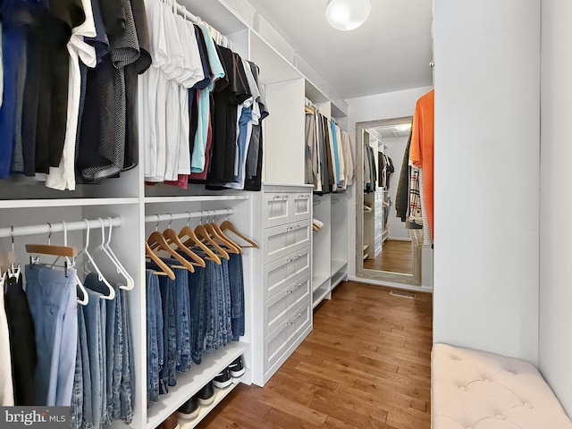 13225 Manor S, Mount Airy, MD 21771 - spacious closet with wood finished floors