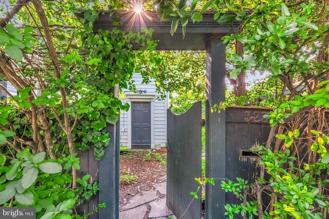 323 N Patrick St, Alexandria, VA 22314 - view of yard
