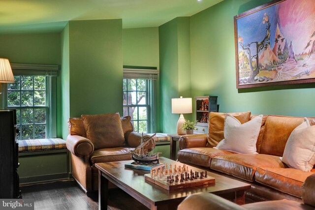 323 N Patrick St, Alexandria, VA 22314 - living room with plenty of natural light and dark wood finished floors